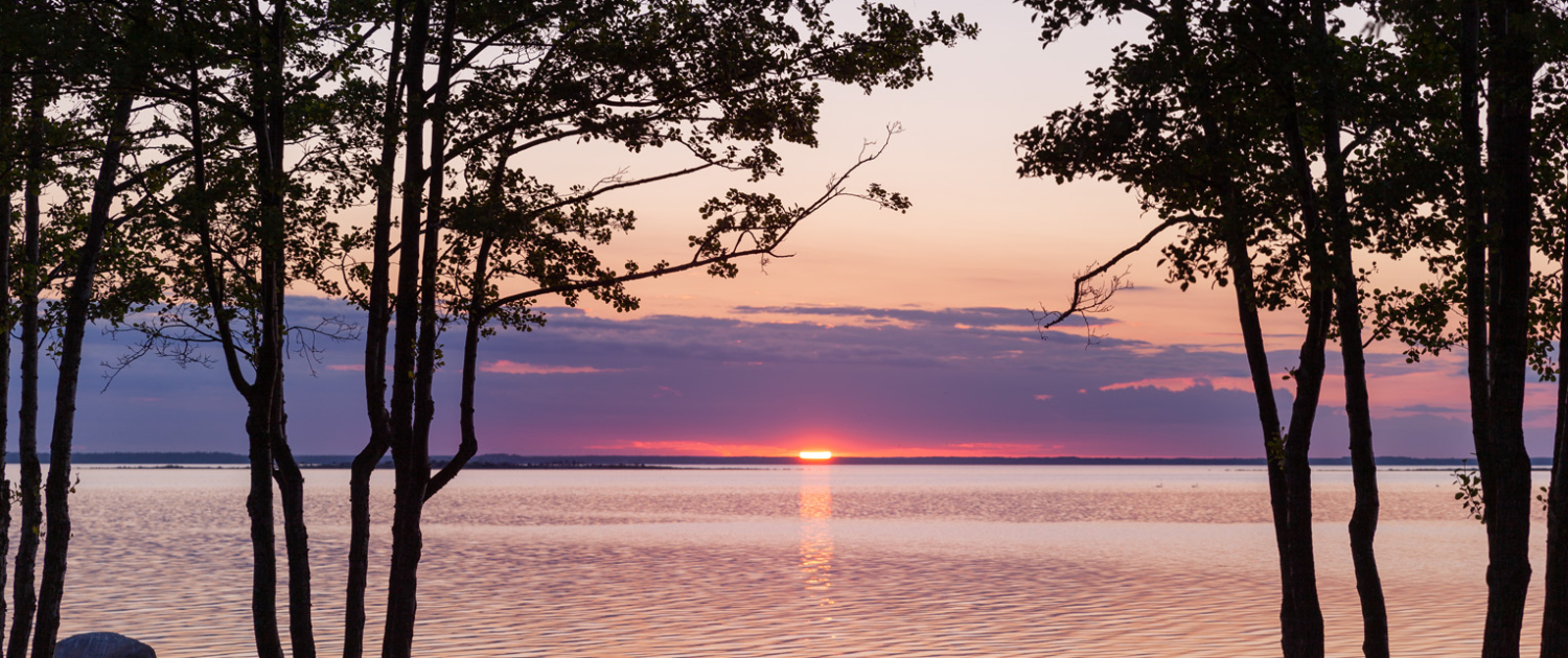 solnedgång öland