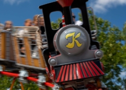 24