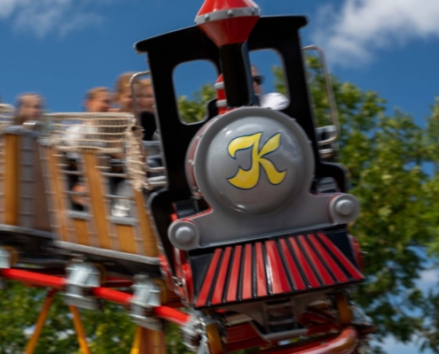 24